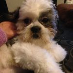Danny Stanton - @dannystanton_1000 - Instagram