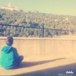 Dany Tarbouch - @danytarbouch - Instagram