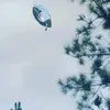 dani.e.tarver. - @dani.e.tarver6 - TikTok