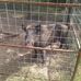 Danny Tarver - Facebook
