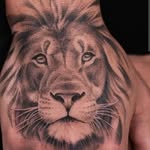 Danny Techera - @techeradanny - Instagram