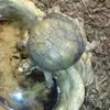Danny Terry - @danny.terry65 - TikTok