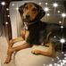 Danny Thomason - Facebook