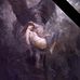 Danny Thorn - Facebook