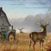 Danny Thornton - @danny.thornton8 - TikTok