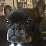 Danny Townsend - @dannytownsend_ - Instagram