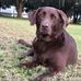 Danny Tucker - Facebook