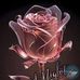 Danny Vaughn - Facebook