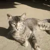 Danny vi - @danny.vi5 - TikTok