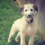 Danny-joe Warner - @danny_warner6 - Instagram