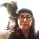 Danny Waters - @dannygirldogwalks - Instagram