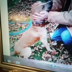 Danny Weatherbee - Facebook