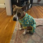 Danny Webster - @corndogdaddy - Instagram