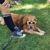Danny Weese - Facebook