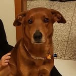 Danny Weiß - @danny_weiss2602 - Instagram