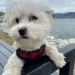 DANNY WHEELER - @dannywheeler63 - Instagram