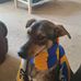Daniel Whitmore - Facebook