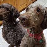 Danny Whyte - @whyte488 - Instagram