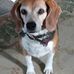 Danny Wiley - Facebook