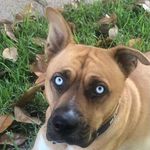 Danny Wiley - @danwiley53 - Instagram