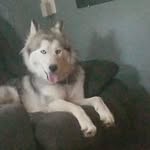 Danny Wiley - @dannycorbett4 - Instagram