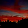 Danny withers - @dannywithers - TikTok