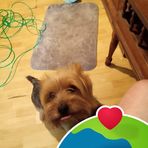 Danny Yates - Facebook