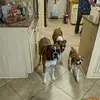 Danny Yell Sr. - @danny.yell.sr - TikTok