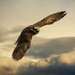 danny.yeo - @danny.yeo - Instagram