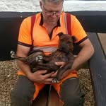 Dan Yeomans - @dandantree1 - Instagram