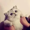 Danny Yip - @2181606644 - TikTok