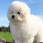 Danny Yoo - @danny_yoo1 - Instagram