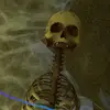 DanteBenjamin - @dantebenjamin58 - TikTok