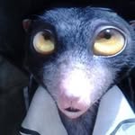Dante Bernal - @bernal.dante - Instagram
