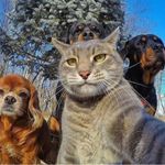 Dante Choi - @choiitout - Instagram