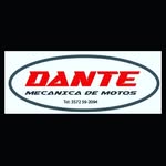 Dante Damiani - @damianidante - Instagram