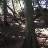 Dante Green - @dante.green4 - TikTok
