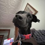 Dante Greer - Facebook