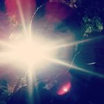 Dante Guzman - @dantesayswhat - Instagram