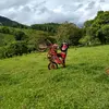 Dante Jacinto Joice araujo - @dantajacito - TikTok