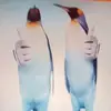 Dante Javier - @dantejavier3333 - TikTok