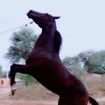 Dante javier - @dantejavier793 - Instagram