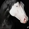 Chencho🤠🐮 - @dantejimenez858 - TikTok