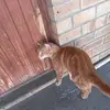 Kidd_Dante - @kidd_dante7 - TikTok