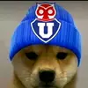 dante_klein - @dantepacheco40 - TikTok