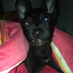 Dante - @dantemix_pit - Instagram