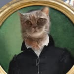 lotte the grumpy BKH and Dante the happy Ragdoll-Mix - @mitakali - Instagram