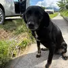 Dante - @dante.ramoss - TikTok