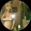 Dante Leonel Pedroza - @dante.leonel.pedr - TikTok