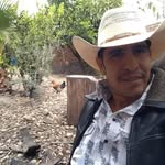 Dante Pedroza - @dante.pedroza.96 - Instagram